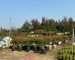 chau-hoa-giay-cong-trinh (9)