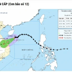 bao-so-12 bao-so-12