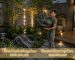da-nhan-tao-composite (1)