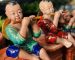 chậu tiểu cảnh đẹp (26)